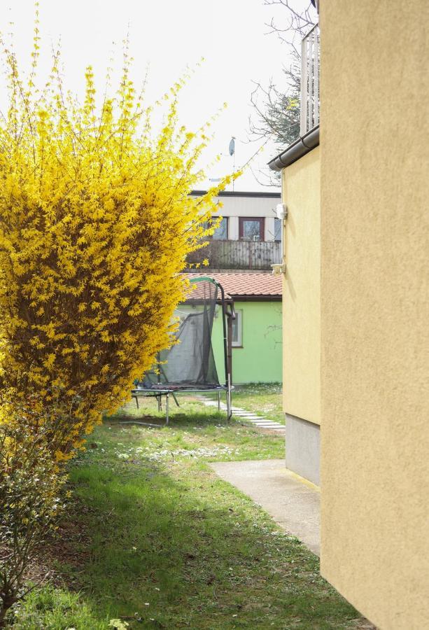 Small-Comfy Guest House In Donaustadt Garden - Not Shared! Wien Exterior foto